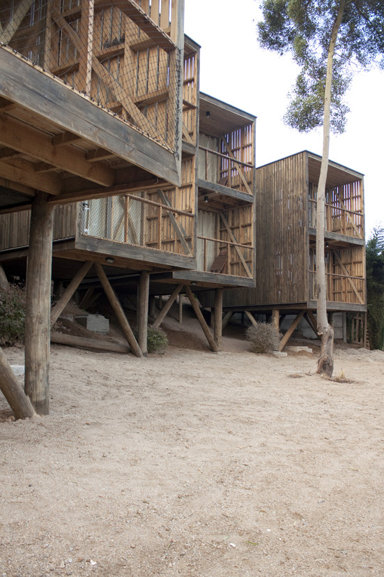 Hostal La Ritoqueña — interior con madera aserrada expuesta y luz natural, arquitecto Alejandro Soffia